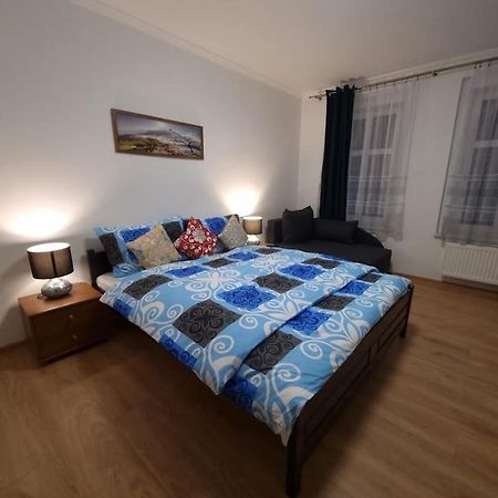 Apartman V Krusnych Horach-Free Parking Jachymov Bagian luar foto