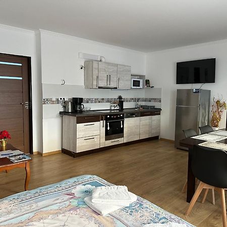 Apartman V Krusnych Horach-Free Parking Jachymov Bagian luar foto