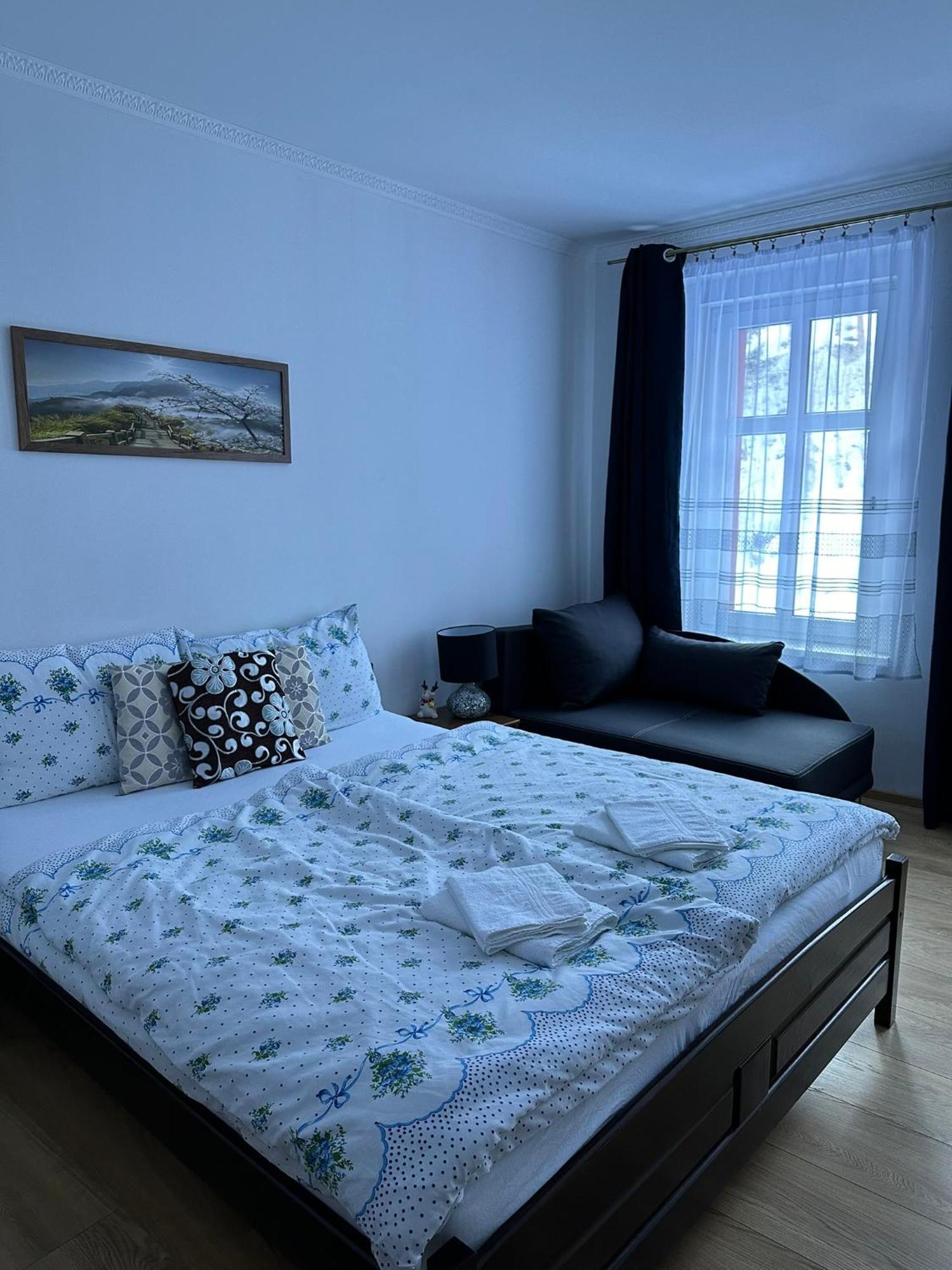 Apartman V Krusnych Horach-Free Parking Jachymov Bagian luar foto