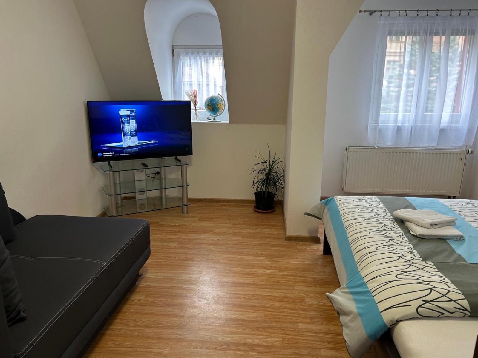 Apartman V Krusnych Horach-Free Parking Jachymov Bagian luar foto